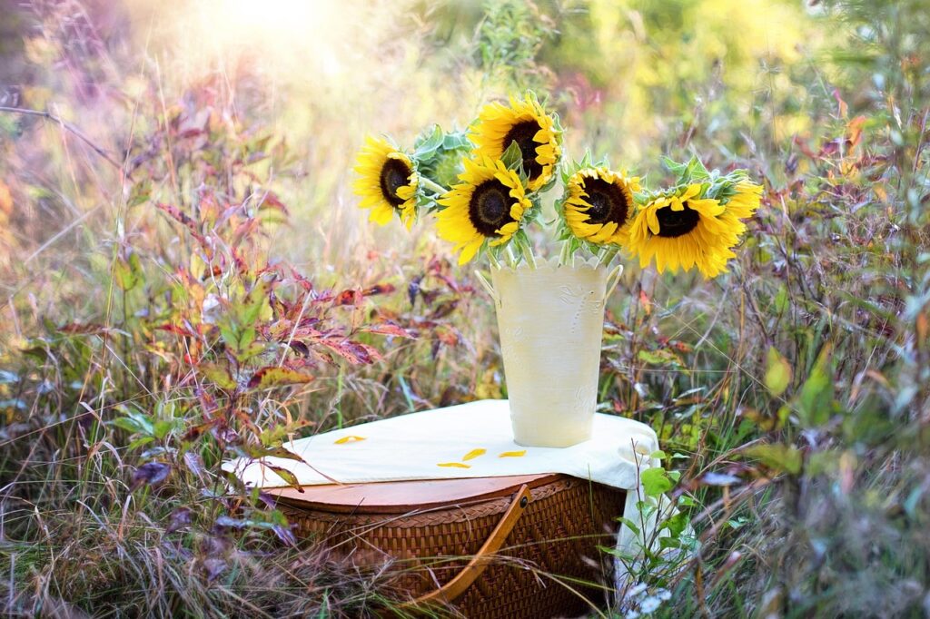 sunflowers, vase, bouquet, flower background, flowers, nature, beautiful flowers, flower wallpaper, flower arrangement, floral arrangement, flower vase