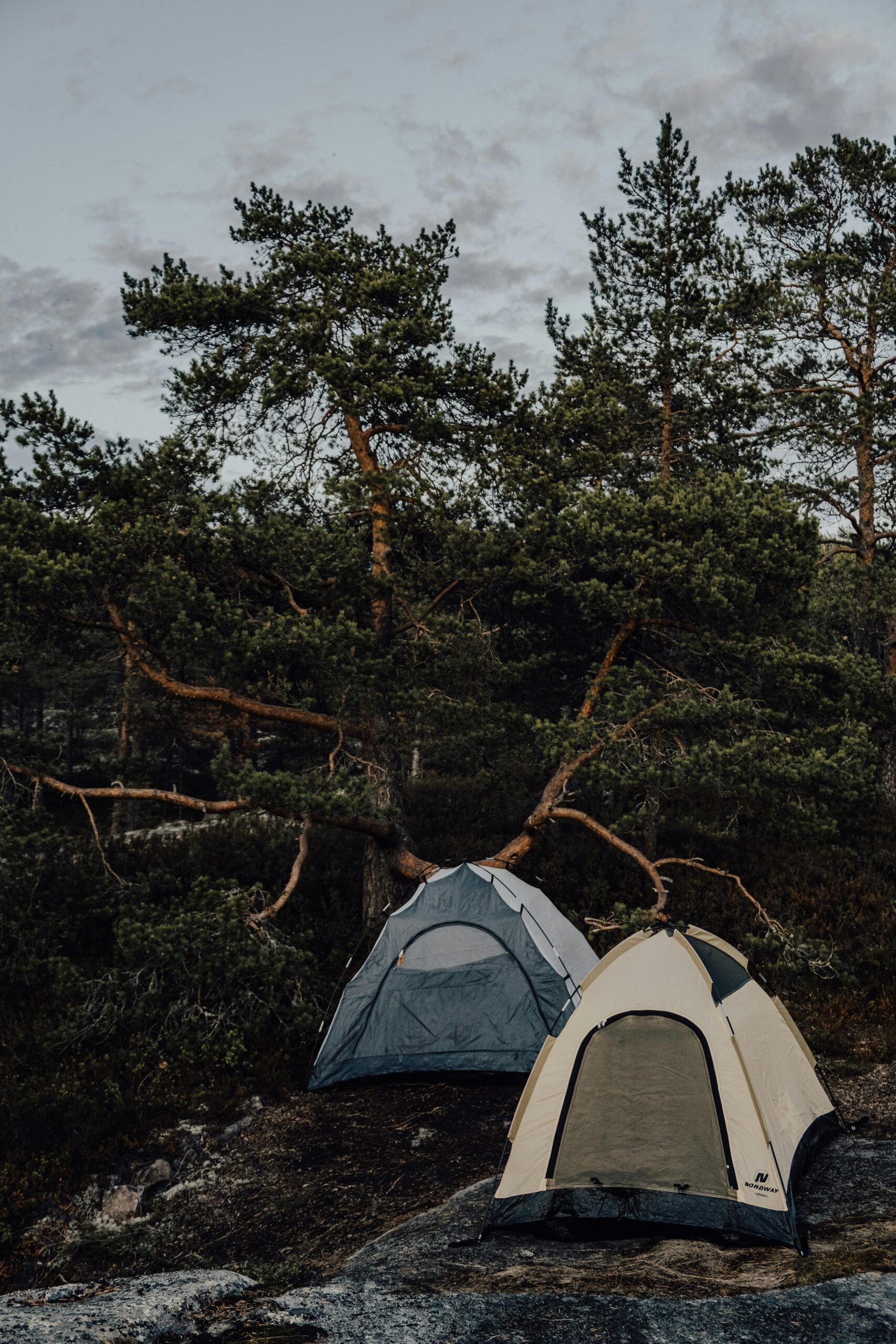 Two tents nestled in the serene forest of Ruskeala, Karelia, perfect for an outdoor adventure.